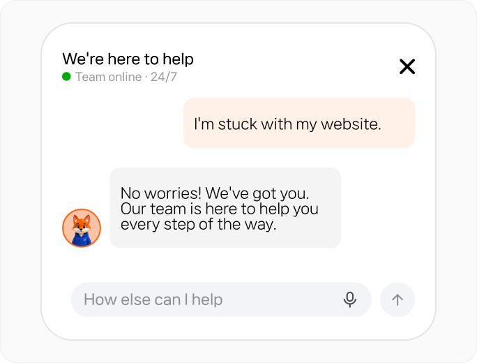 A conversation with the Appropriate Websites support team
